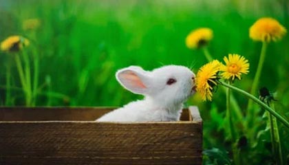 华体会hthapp下载入口-中国篮球青少年训练营体系构建与评价，青少年篮球训练中心简介