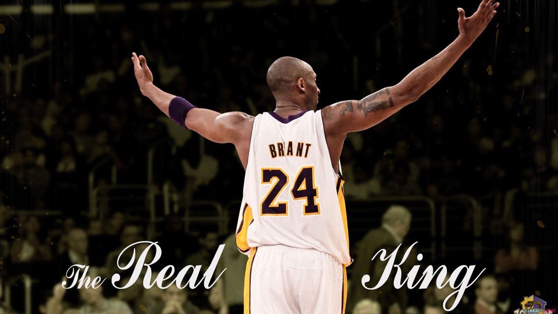 “从迷你到巨型”——各类车队装备与车型盘点,车队组成