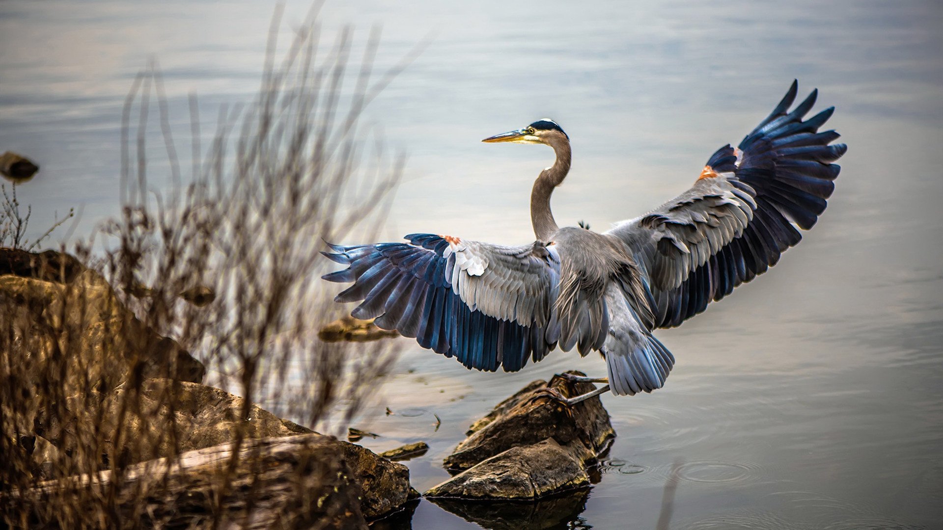 “泥泞冲刺:雨后赛道上的疯狂追逐”,雨后泥泞的路