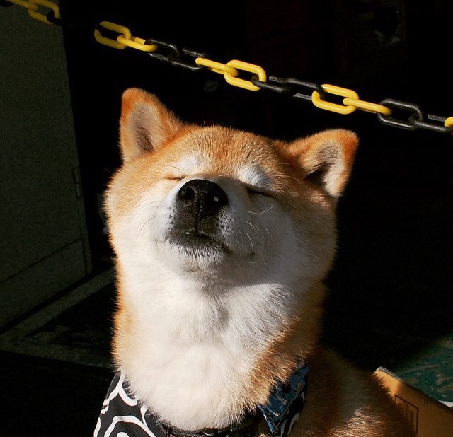 “足球场馆智能安检系统正式启用,提升赛事安全”,足球场检测机构