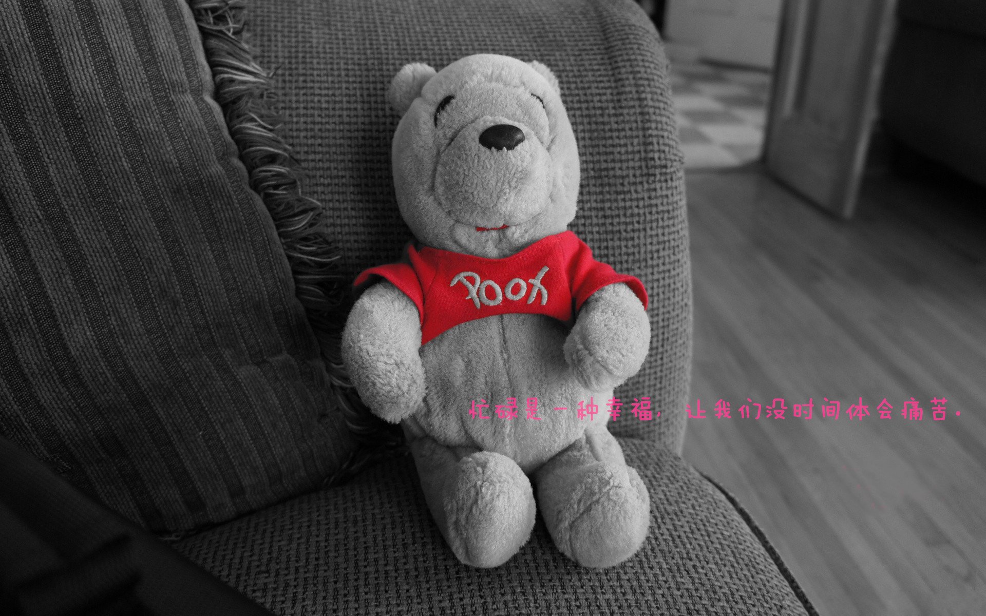 《电竞冠军背后的团队支撑:幕后英雄谁与争锋?》,电竞职业选手冠军