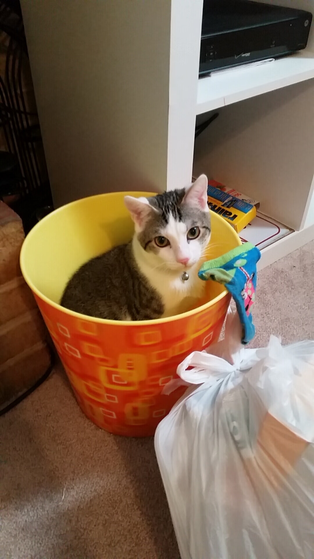 公牛赢得关键战!,公牛赢得关键战绩的原因