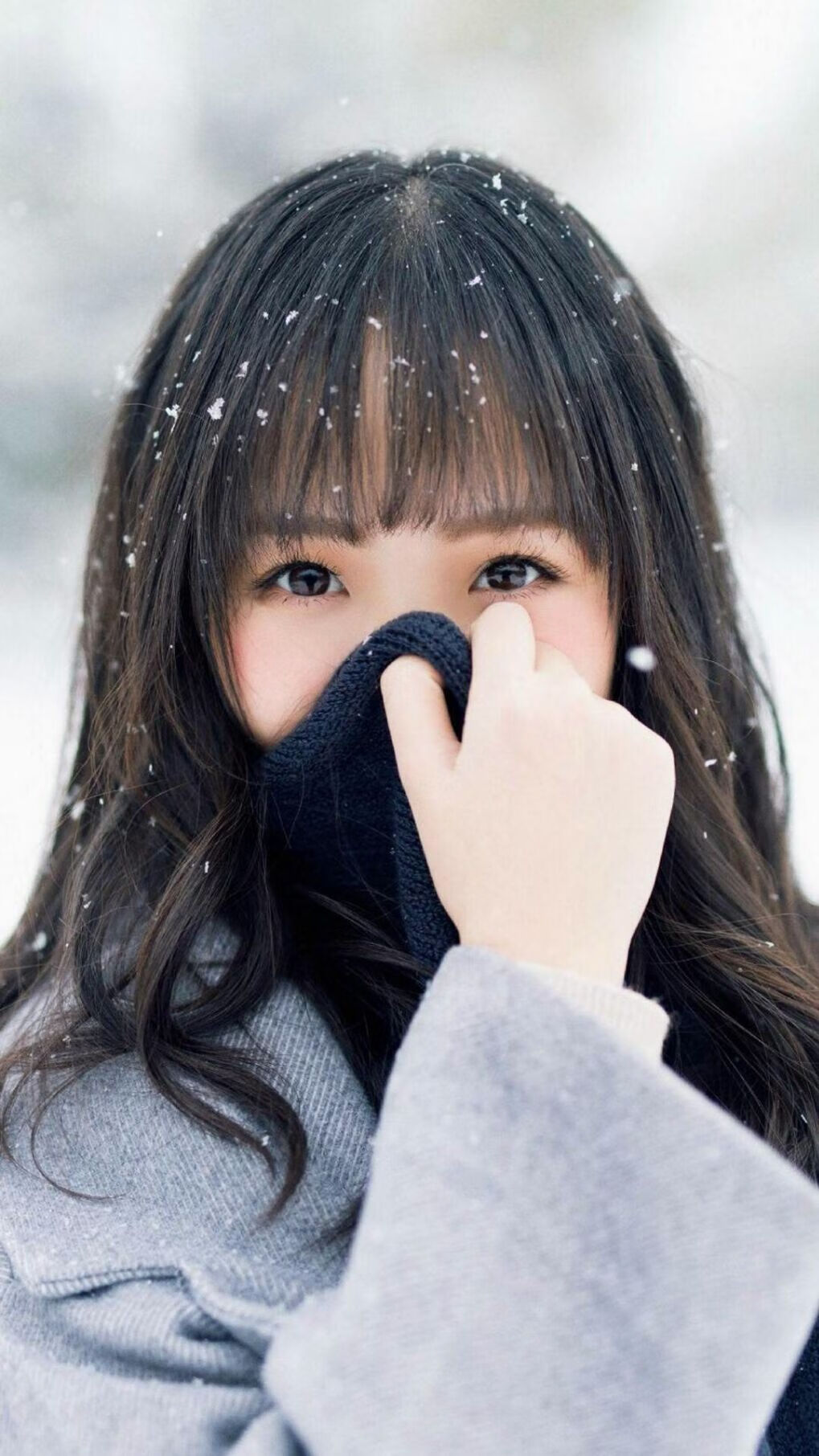 掘金连胜延续至11场,战术执行力被称教科书级,掘金队最新交易信息