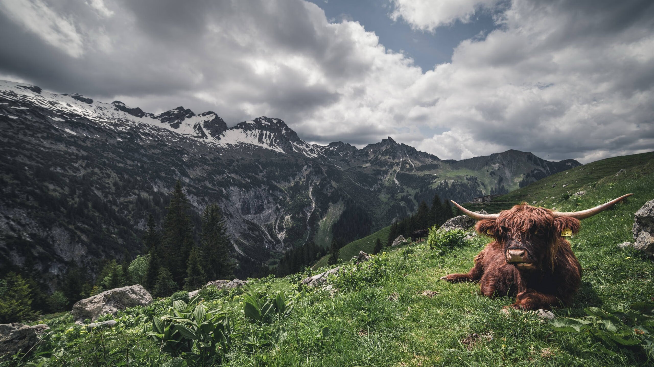 法甲豪门“边路+高压”战术：打乱对手战略，足球高压战术