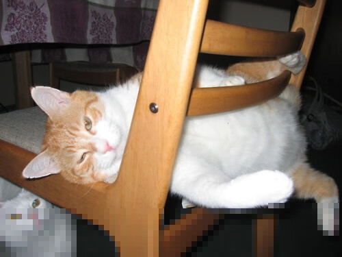 芝加哥“未来之城”在2025全明星赛开启新篇章,芝加哥2035年