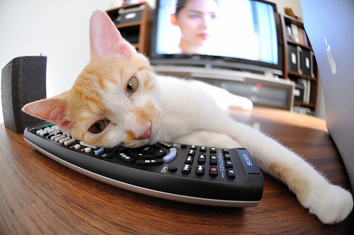 华体会app安装-行业大会聚焦未来：新技术、新模式带来行业新机遇，新技术新模式新业态