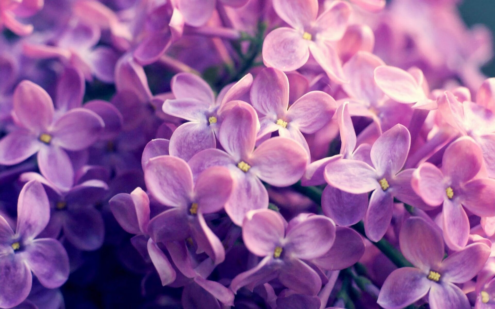 华体会hth娱乐平台-青少年“技能+素养”提升工程在全国多地同步推进，行业基础越加坚实