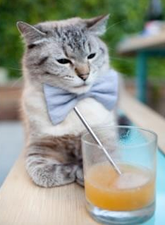 中超联赛媒体传播是否吸引观众，中超合作媒体