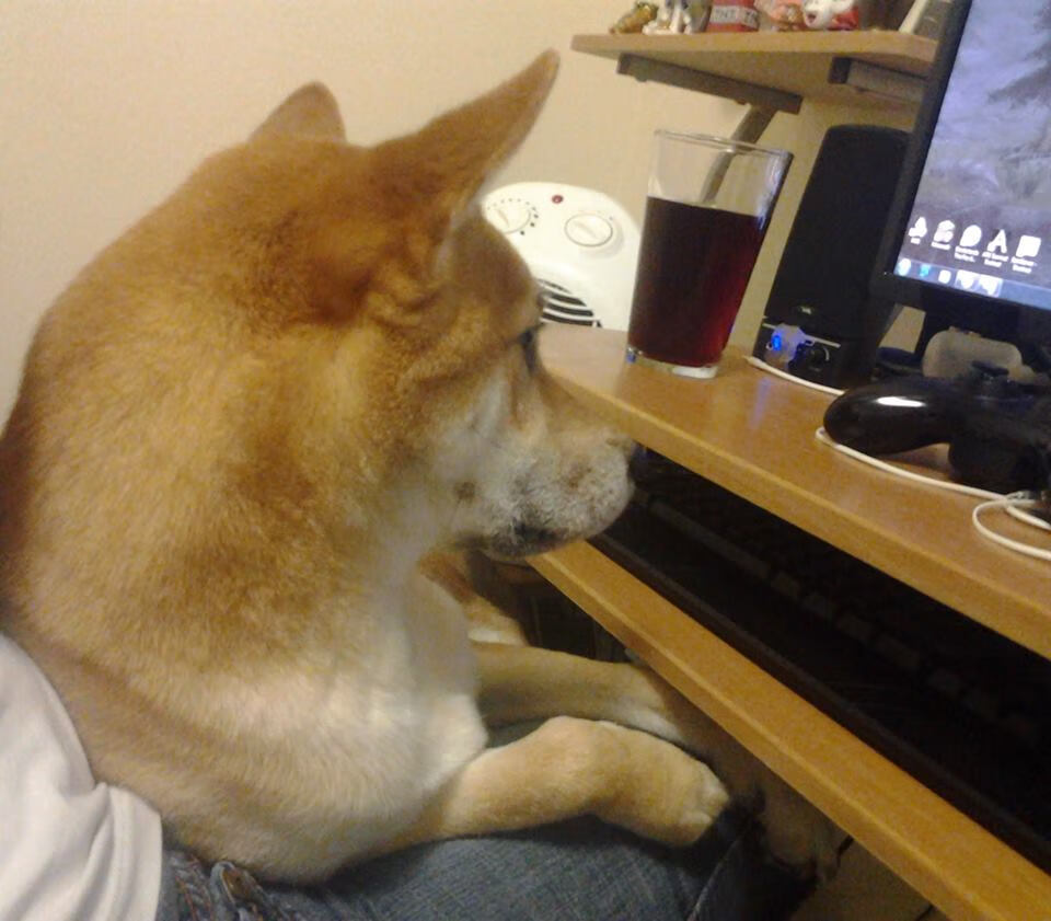 山东高速球队主力阵容发挥稳定,山东高速球队名单