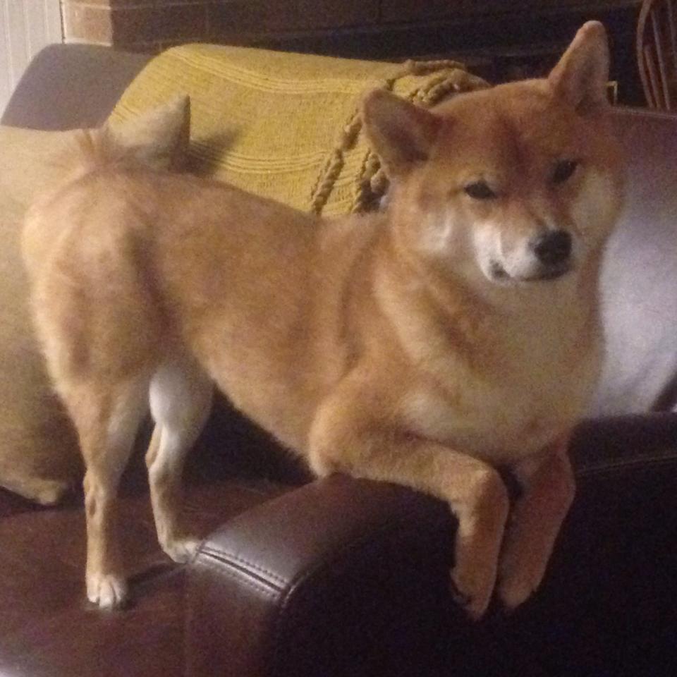 华体会hth登录地址-意大利足球职业联赛出现经济问题，俱乐部陷入困境，意大利所有足球俱乐部