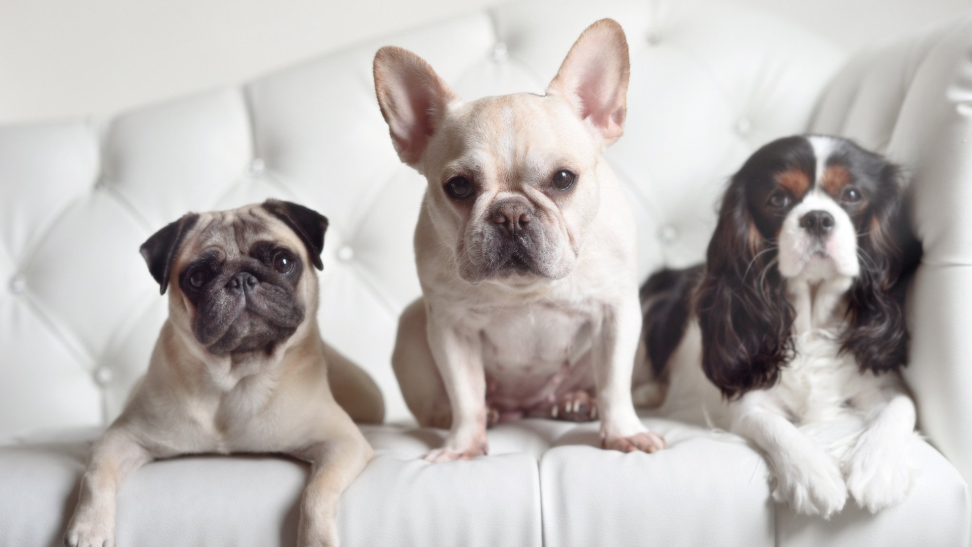 科尔切斯特联客场击败斯旺西市,球队获得主场首胜,士气大振,科尔切斯特联足球俱乐部