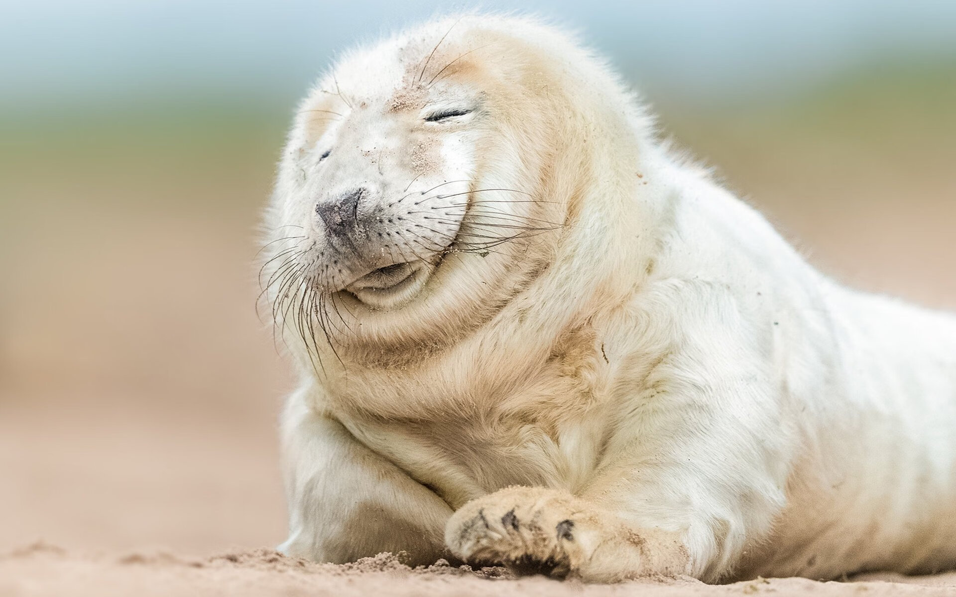 韩国羽毛球队世界排名上升,韩国羽毛球实力