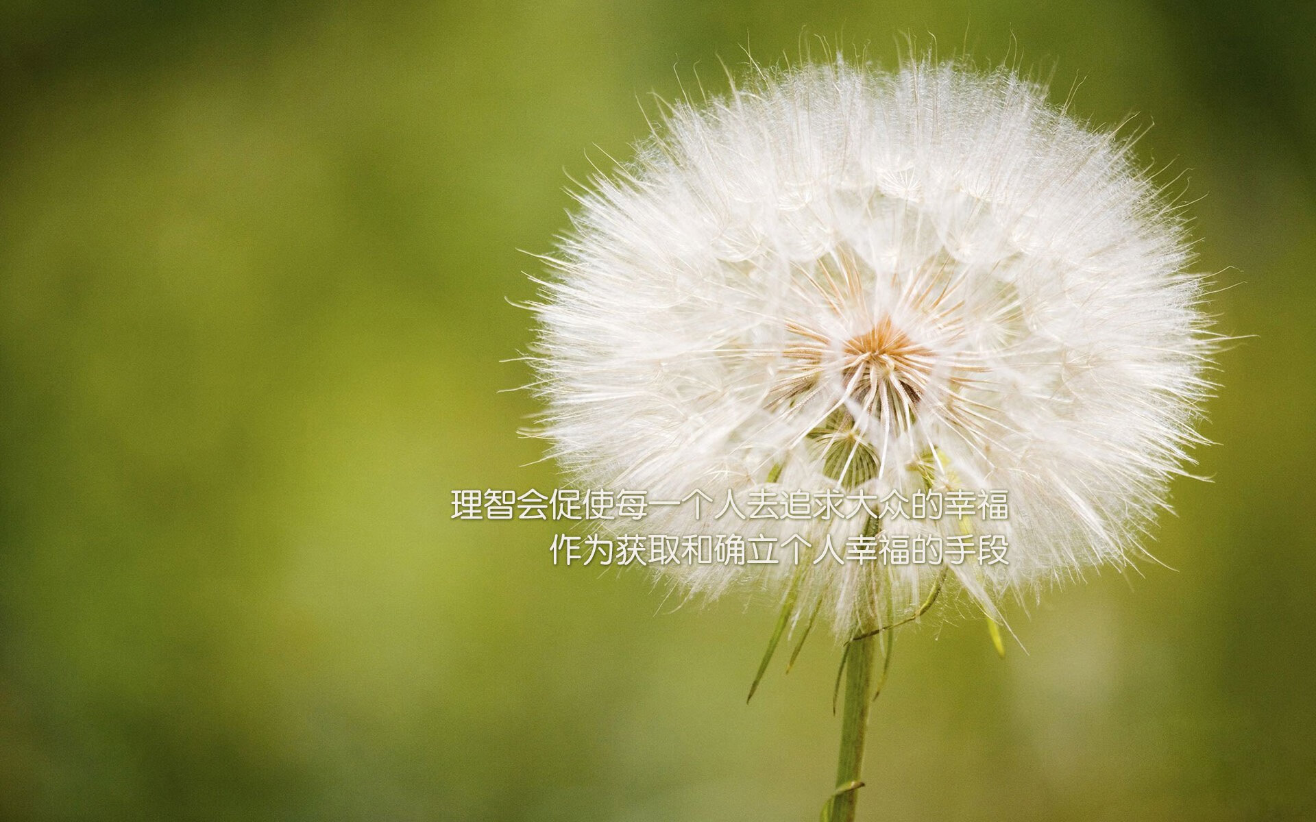 年度十佳球:谁的哪颗射门最震撼人心?,10佳球