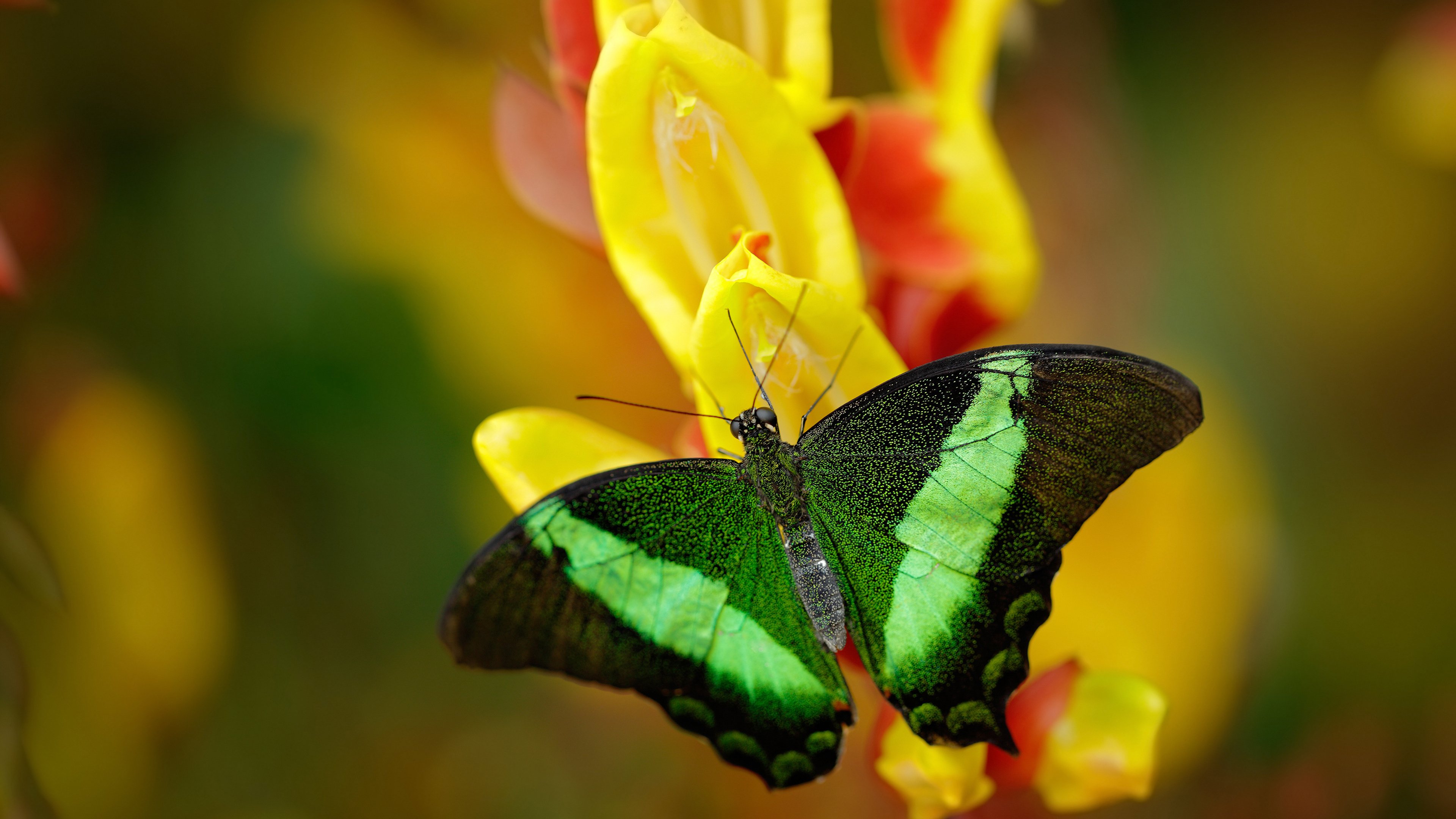 西甲球队数据可视化在比赛战术调整中的应用，西甲过人数据