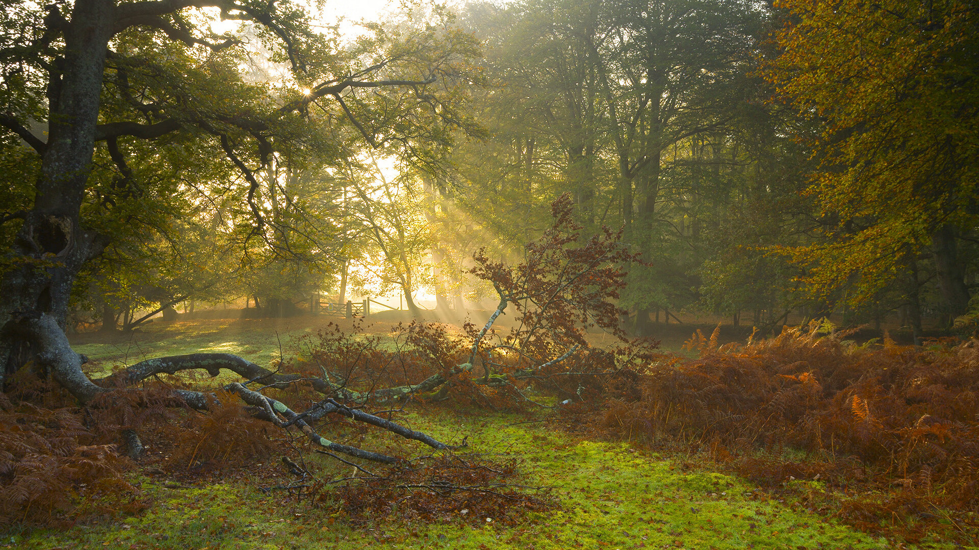 世界杯预选赛中国足球爆冷 技术复盘引热议,世界杯足球2022预选赛中国