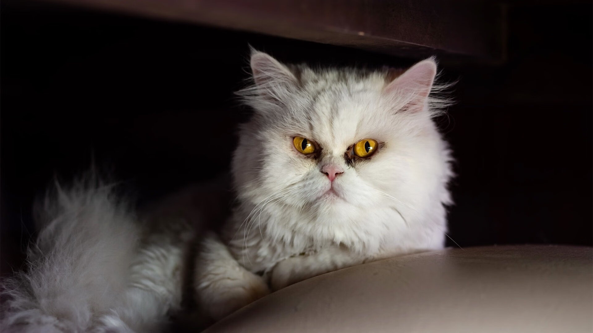 中超出战国际热身赛 复仇结局令人意外,中超球队热身赛