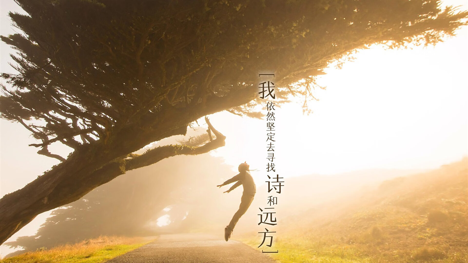 体育新闻中心上线体育内容精准推荐引擎,体育新闻f1