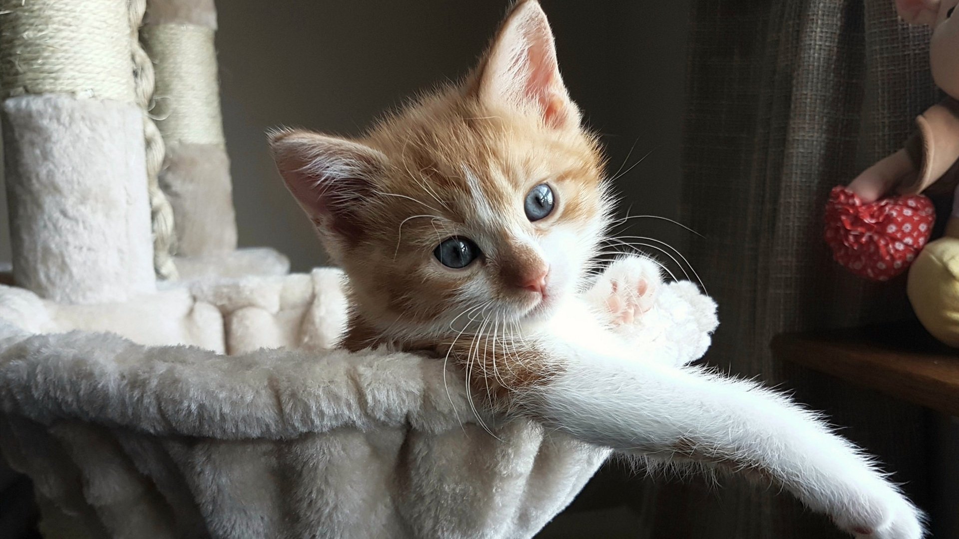 华体会手机网站-关键球员谁是教练最信任之选，球员当教练最成功的