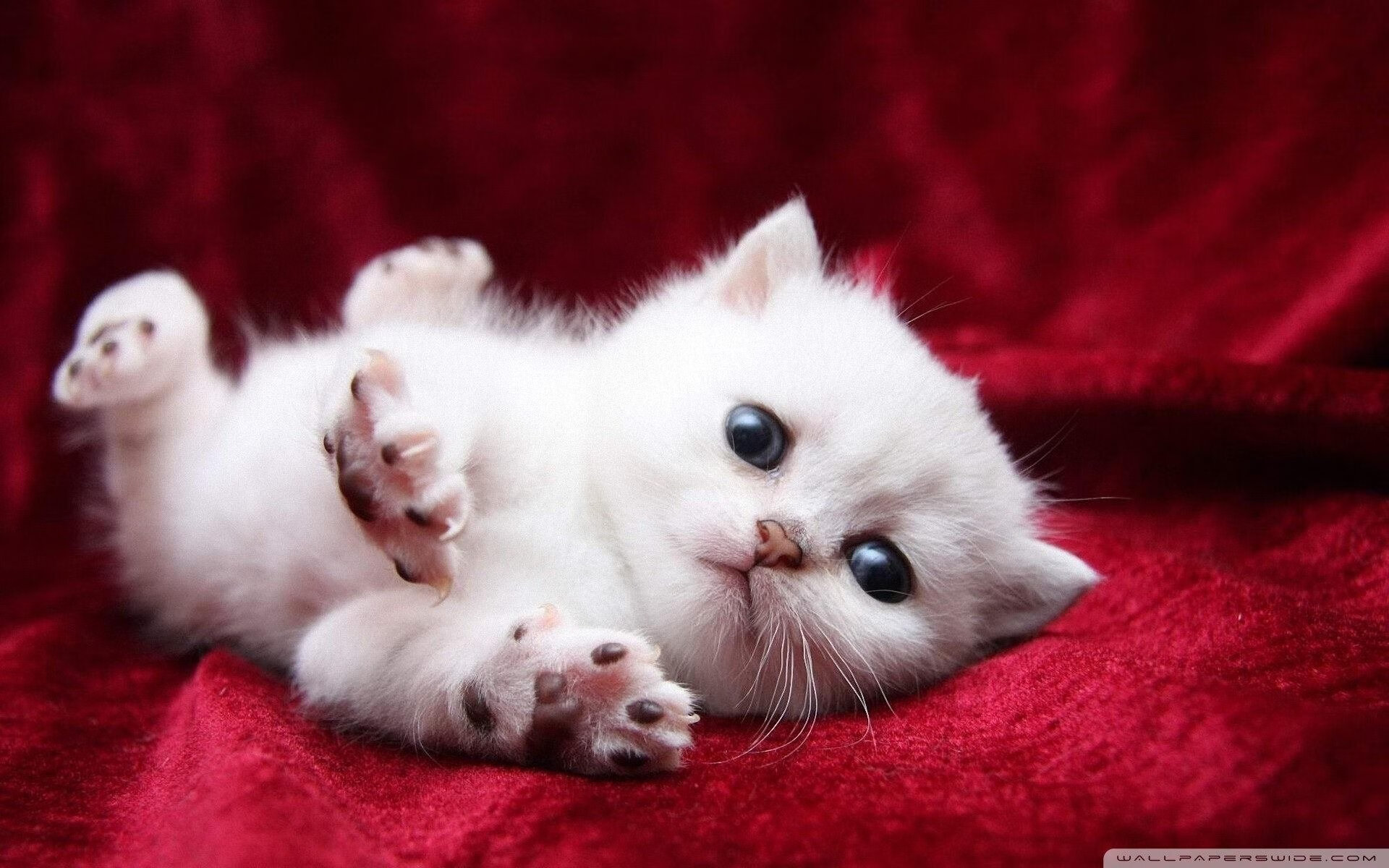 华体会hth网站-奥预赛中国女足战胜 球员展现强烈求胜欲，中国女足奥预赛出线