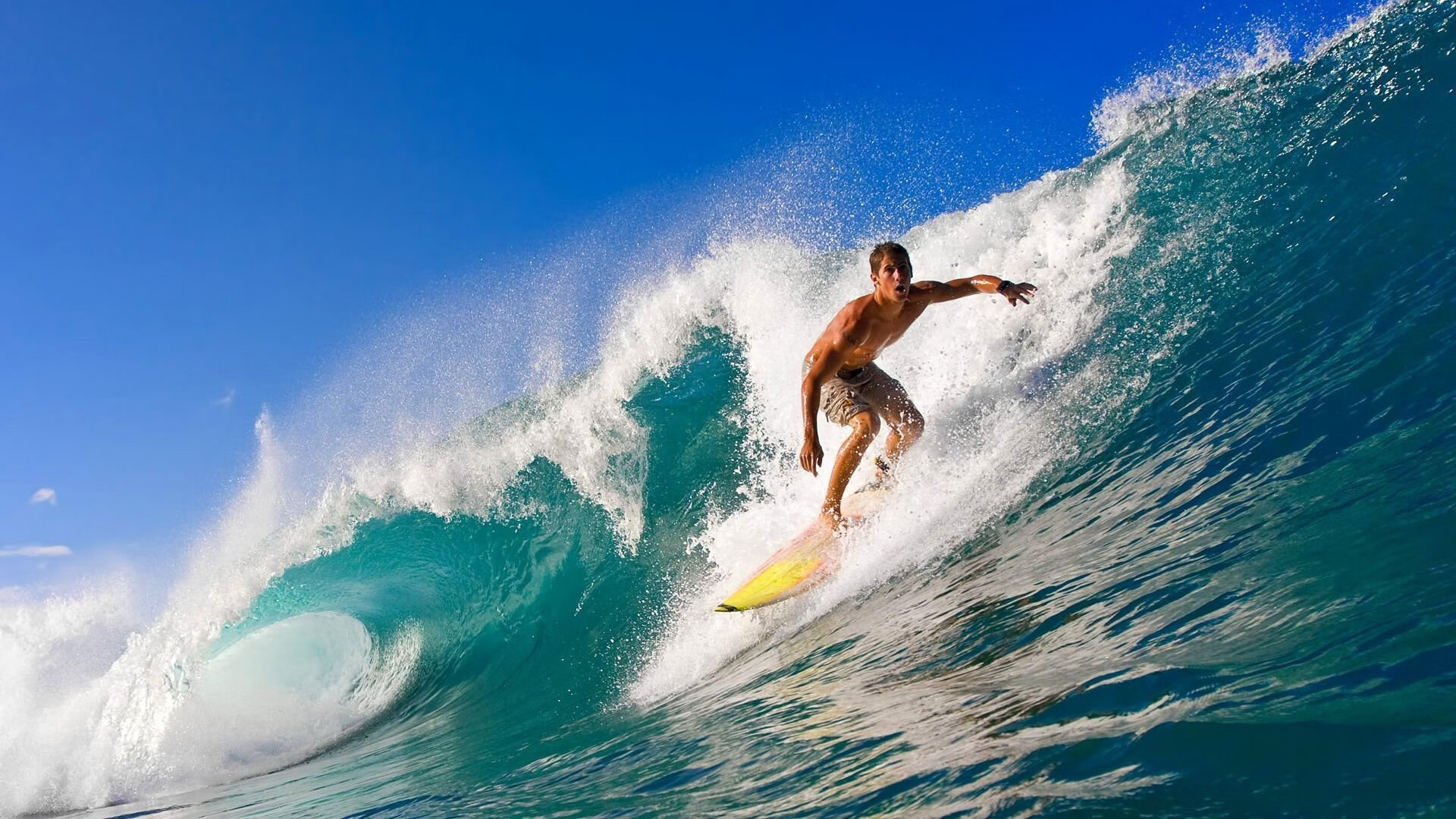 华体会登录最新地址-瑞典乒乓球团队亮眼表现，2024年世界杯征战解析，瑞典乒乓球联赛