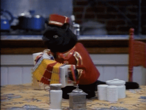 辽宁飞豹连续主场胜利提升球队信心,辽宁飞豹俱乐部官网