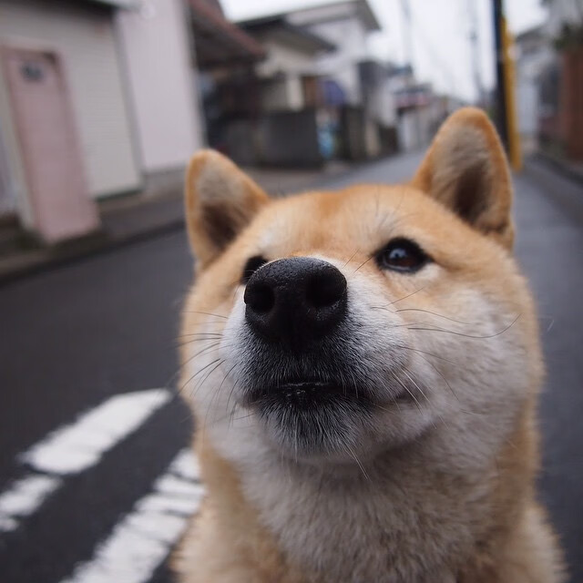 华体会app安装-中国足球多地启动足球小镇项目推动产业集聚发展，足球小镇营业时间