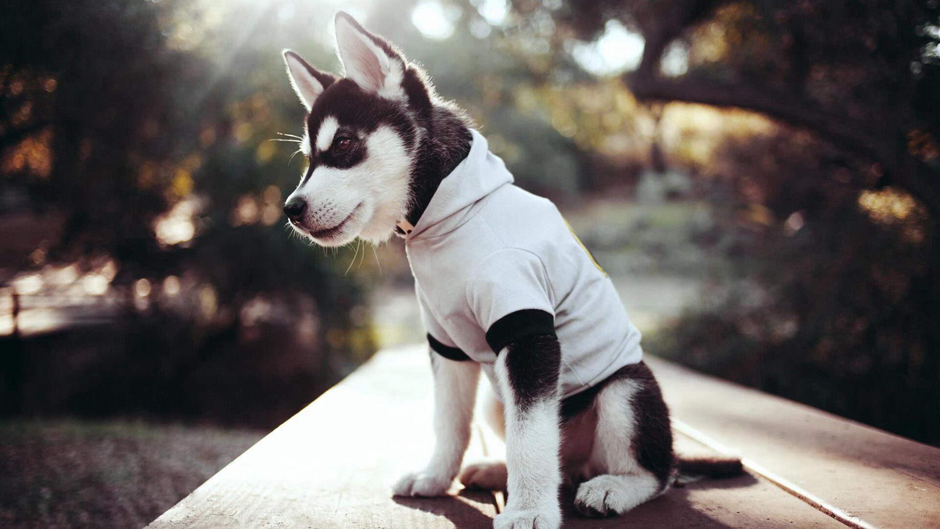 华体会登录入口-中超联赛设置多维赛季评估标准覆盖技战术心理体能，2021赛季中超联赛分组