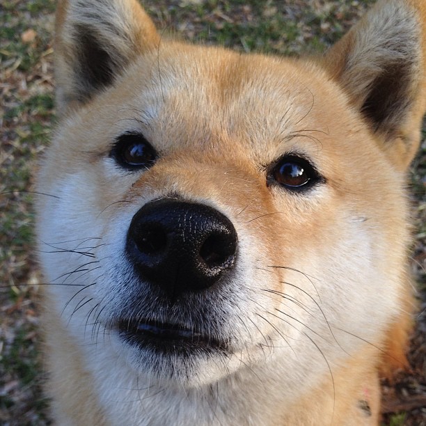 华体会登录入口-西甲攻防瞬间：频频上演精彩大秀！，西甲攻略