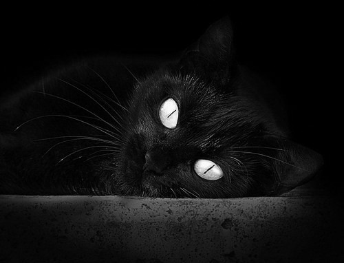 詹姆斯发布个人纪录片幕后花絮,詹姆斯生涯最新纪录片三部曲